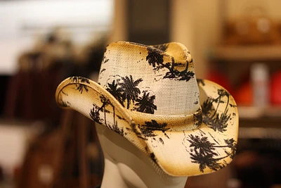 The Cowboy Hat (Straw)