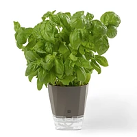 Jardinière d'herbes aromatiques