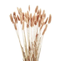 Lagurus stem bundle - Brown