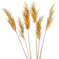 Natural pampas steams - 28"