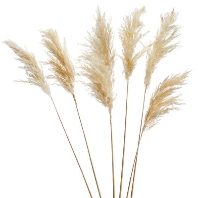 pampas steams