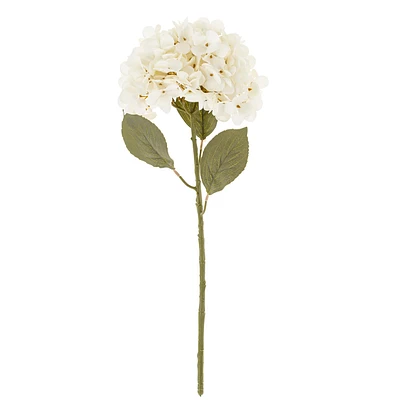 Hydrangea stem