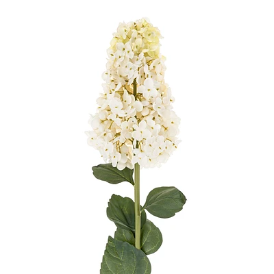 Tige d'hydrangée paniculata - Blanc