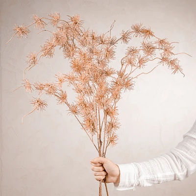Tige de feuilles d'automne