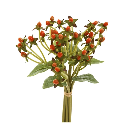 Bouquet hypericum