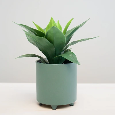 Vase cylindre 5"