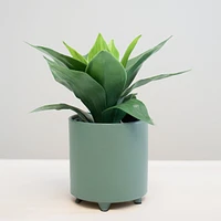 Vase cylindre 5"