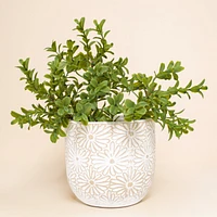 Flower textured pot - Natural