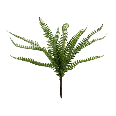 Fern bouquet - Boston