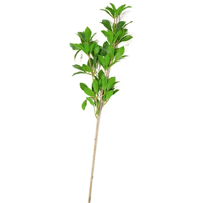 Bouquet d'andromède japonais