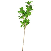 Japanese andromeda bouquet