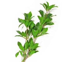Japanese andromeda bouquet