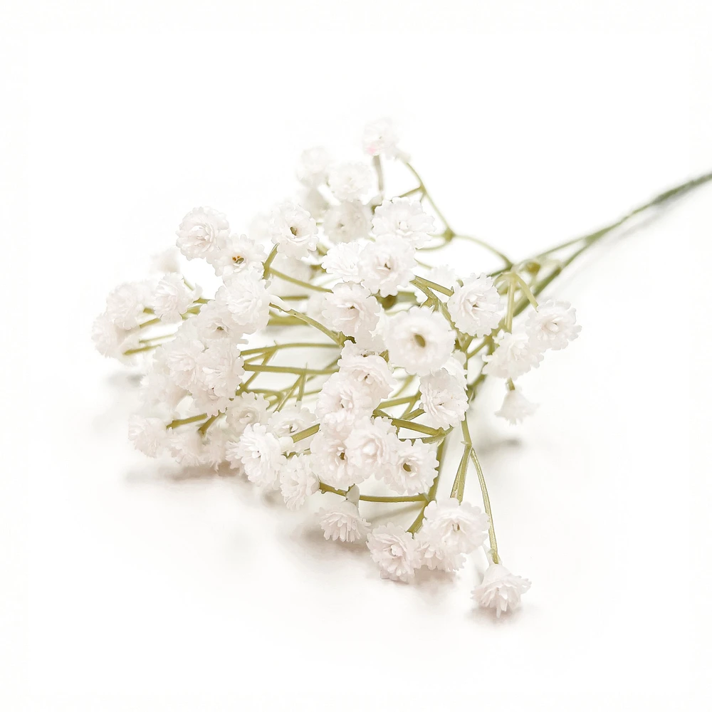 Allium branch - White