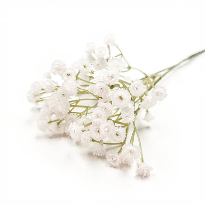 Allium branch - White