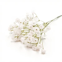 Allium branch - White