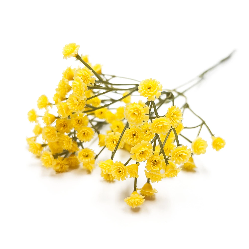 Allium branch - Yellow