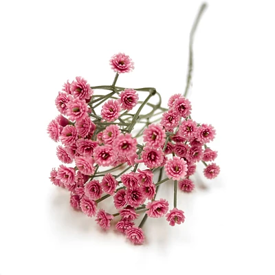 Allium branch - Pink
