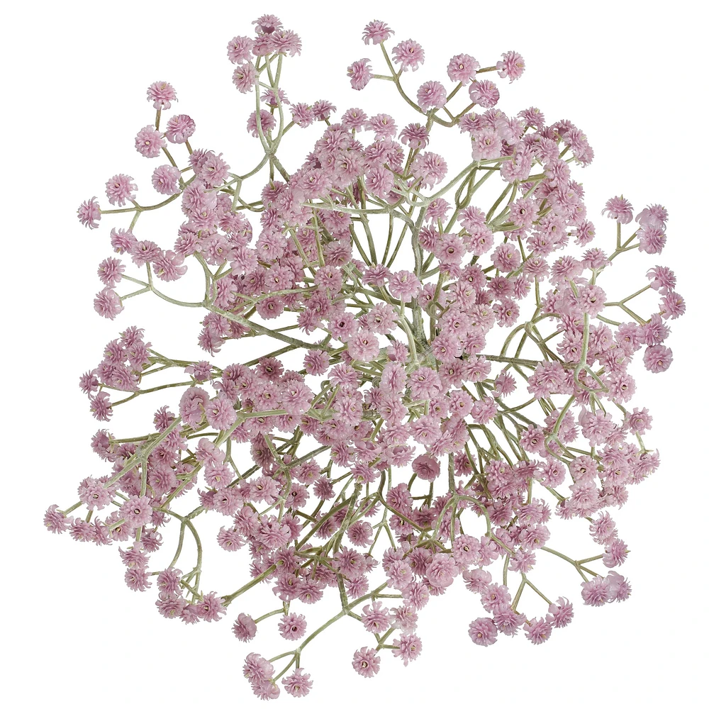 Baby's sigh branch - Lilac