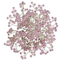 Baby's sigh branch - Lilac