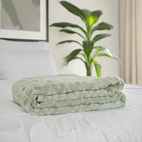 Plush throw - Sage