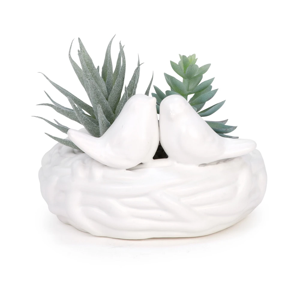 Plante en pot - Oiseaux blancs