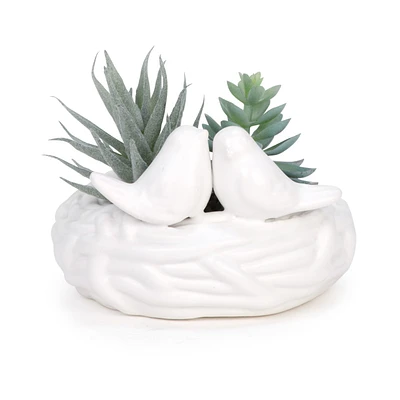 Plante en pot - Oiseaux blancs