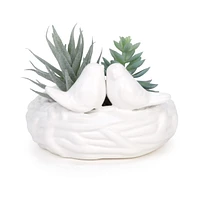 Plante en pot - Oiseaux blancs