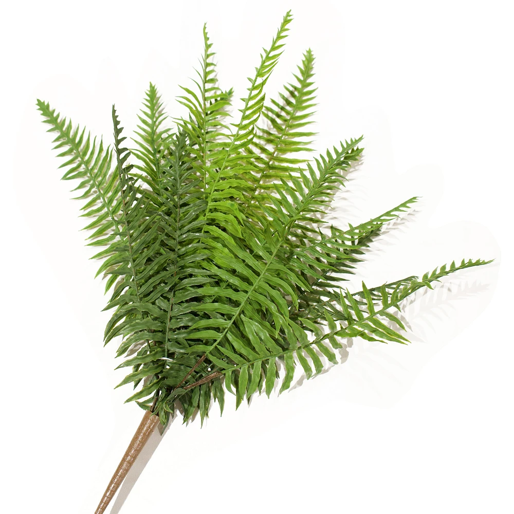 Bouquet de fougère