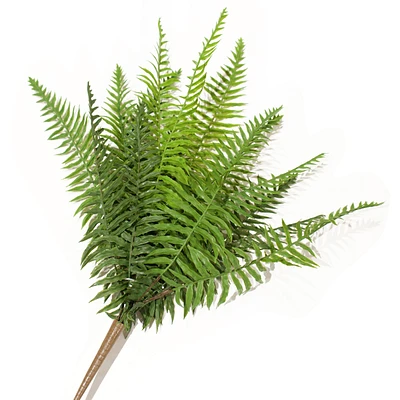 Bouquet de fougère