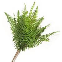 Bouquet de fougère
