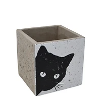 Pot ciment - Chat