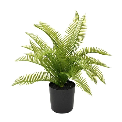 Small fern in a pot - Black