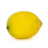 Decorative lemon