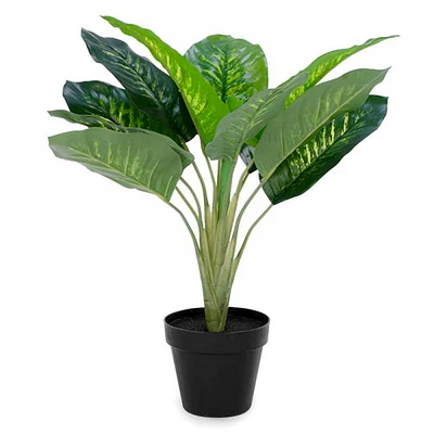 Plante décorative en pot