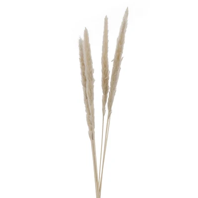Set of 6 feather stems - Beige