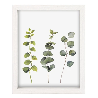 Cadre photo 8 x 10 - Eucalyptus