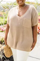 Pure Bliss Knit Top Taupe