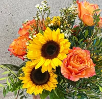 Crisp Autumn Radiance