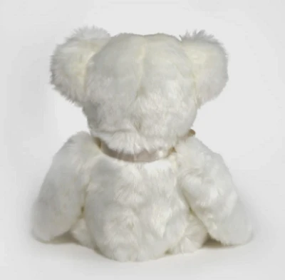 Aspin Teddy Bear