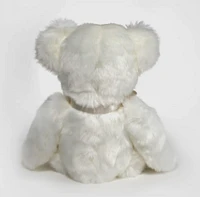 Aspin Teddy Bear