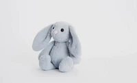 Snuggle Bunny Blue – Soft & Cuddly Plush Bunny