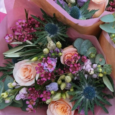 Blush & Bloom