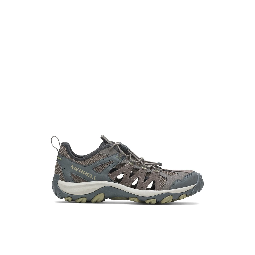 Accentor_3-m