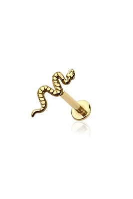PREMIUM Coiled Snake Flat Back 16g