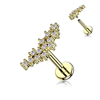 PREMIUM Constellation Flat Back 16g