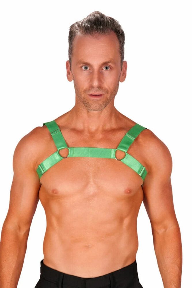 Shoulder Chest Harness