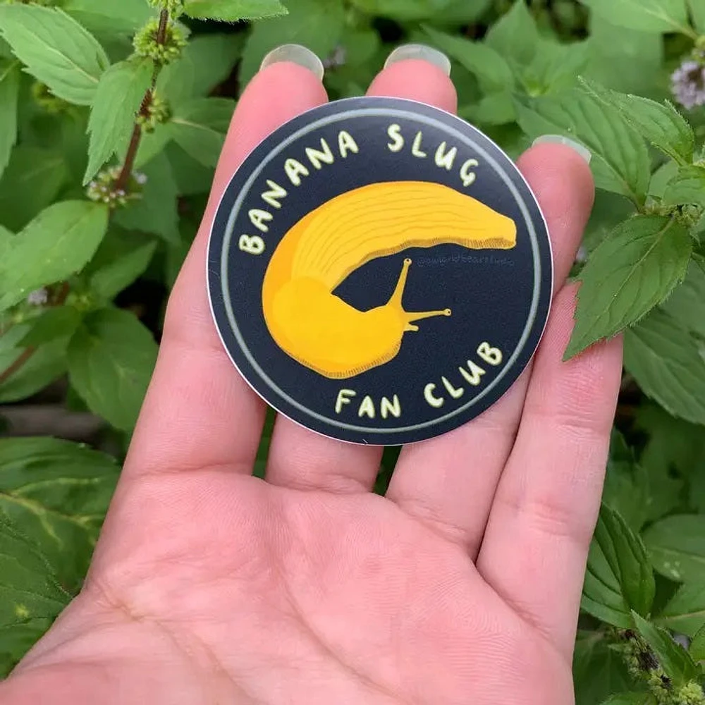 Club de fans de Banana Slug Pegatina