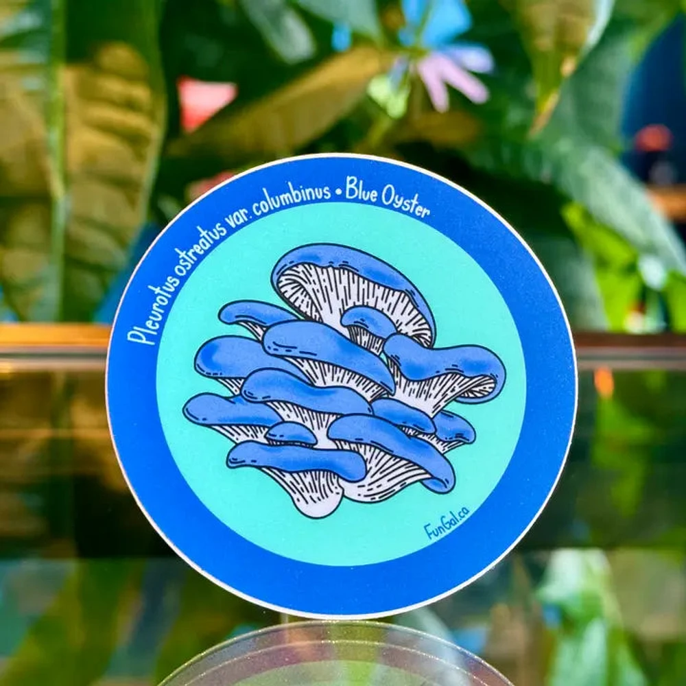 Blue Oyster Mushroom Sticker
