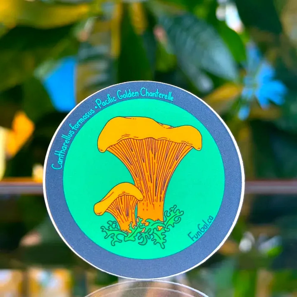 Pacific Golden Chanterelle Sticker