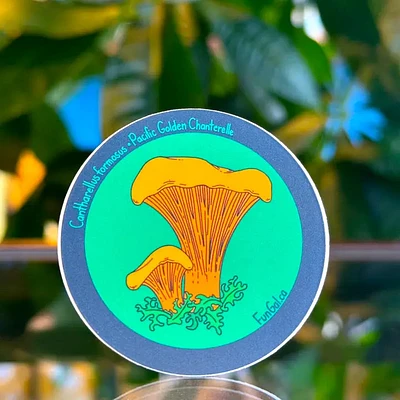 Pacific Golden Chanterelle Sticker